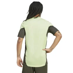 Real Madrid Tiro 25 voetbalshirt heren almost lime*adidas Best