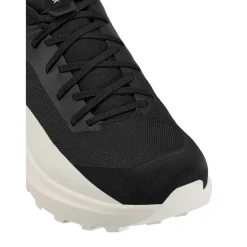 Norvan LD 4 wandelschoenen heren black arctic silk*Arc'teryx Best