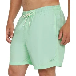 Vert 16 inch zwembroek heren mildrew mint*O'Neill Best