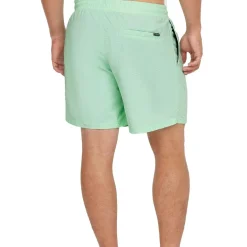 Vert 16 inch zwembroek heren mildrew mint*O'Neill Best