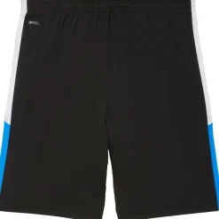 IndividualLIGA voetbalbroekje heren black white ultra blue*Puma Online