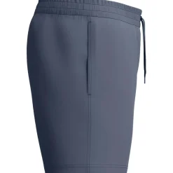 Essential Solid zwembroek heren grey*Speedo Discount