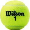 Championship tennisballen*Wilson Best