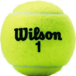 Championship tennisballen*Wilson Best